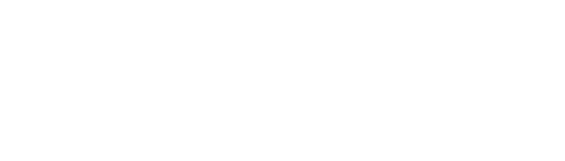 SecurityLit Logo